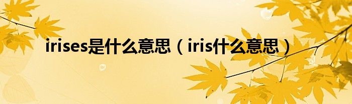  irises是什么意思（iris什么意思）