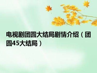 电视剧团圆大结局剧情介绍（团圆45大结局）