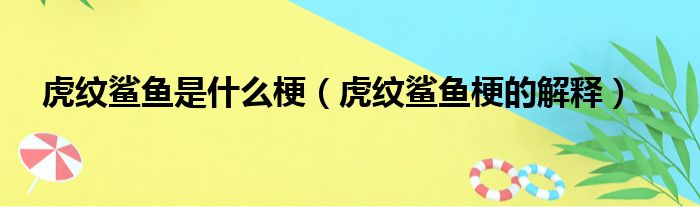 虎纹鲨鱼是什么梗（虎纹鲨鱼梗的解释）