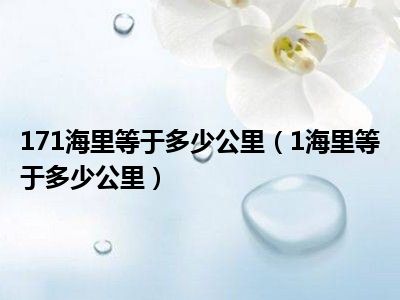 171海里等于多少公里（1海里等于多少公里）