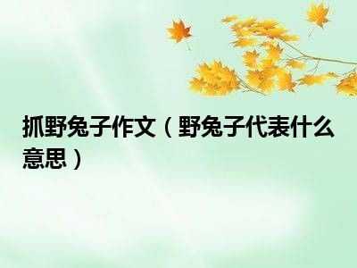 抓野兔子作文（野兔子代表什么意思）