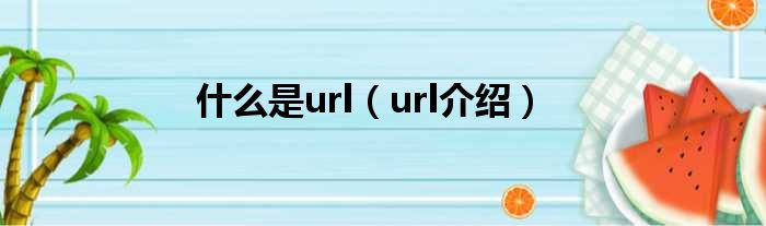 什么是url（url介绍）