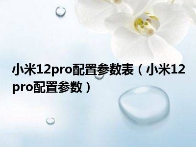 小米12pro配置参数表（小米12pro配置参数）