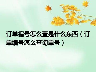 订单编号怎么查是什么东西（订单编号怎么查询单号）