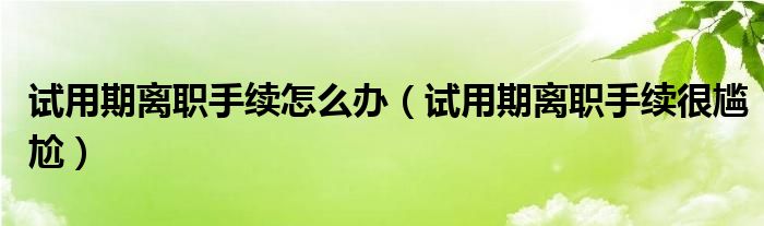  试用期离职手续怎么办（试用期离职手续很尴尬）