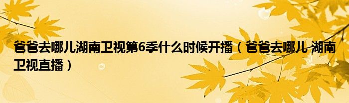  爸爸去哪儿湖南卫视第6季什么时候开播（爸爸去哪儿 湖南卫视直播）