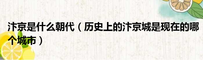 汴京是什么朝代（历史上的汴京城是现在的哪个城市）