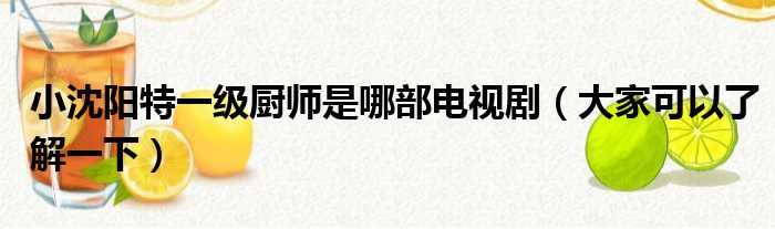 小沈阳特一级厨师是哪部电视剧（大家可以了解一下）