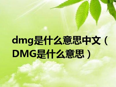 dmg是什么意思中文（DMG是什么意思）