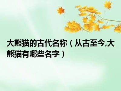 大熊猫的古代名称（从古至今 大熊猫有哪些名字）