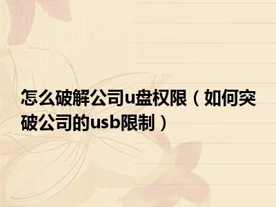 怎么破解公司u盘权限（如何突破公司的usb限制）