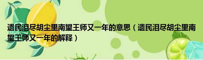 遗民泪尽胡尘里南望王师又一年的意思（遗民泪尽胡尘里南望王师又一年的解释）