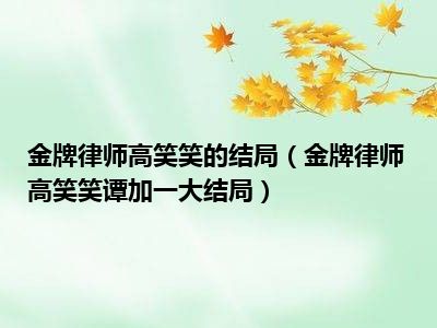 金牌律师高笑笑的结局（金牌律师高笑笑谭加一大结局）