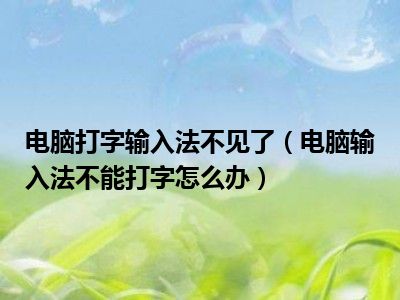 电脑打字输入法不见了（电脑输入法不能打字怎么办）