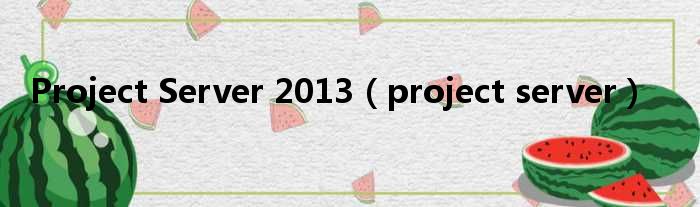 Project Server 2013（project server）