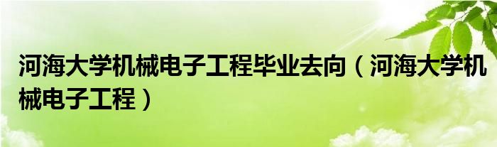  河海大学机械电子工程毕业去向（河海大学机械电子工程）