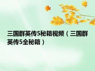 三国群英传5秘籍视频（三国群英传5全秘籍）