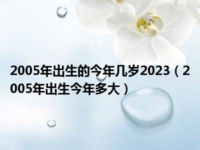 2005年出生的今年几岁2023（2005年出生今年多大）