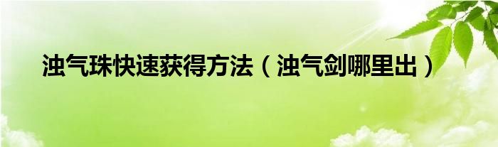  浊气珠快速获得方法（浊气剑哪里出）