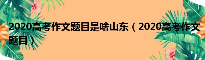 2020高考作文题目是啥山东（2020高考作文题目）