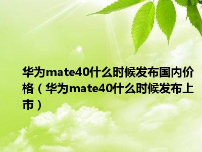 华为mate40什么时候发布国内价格（华为mate40什么时候发布上市）