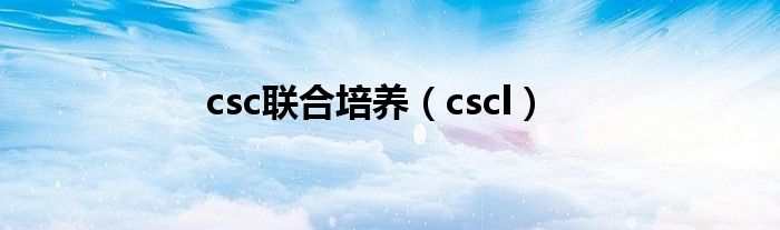  csc联合培养（cscl）