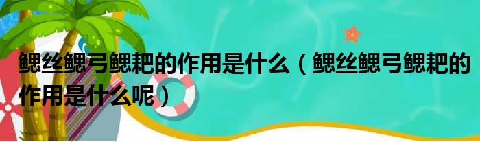 鳃丝鳃弓鳃耙的作用是什么（鳃丝鳃弓鳃耙的作用是什么呢）