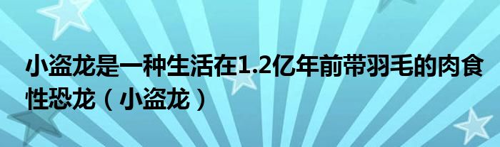  小盗龙是一种生活在1.2亿年前带羽毛的肉食性恐龙（小盗龙）