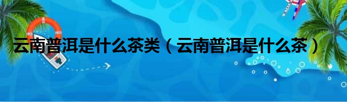 云南普洱是什么茶类（云南普洱是什么茶）