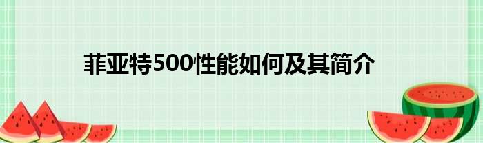 菲亚特500性能如何及其简介