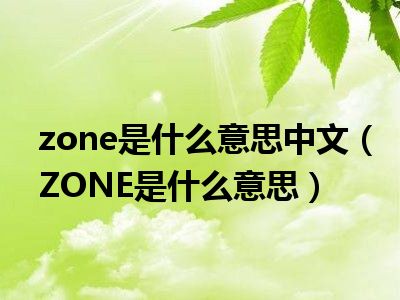 zone是什么意思中文（ZONE是什么意思）