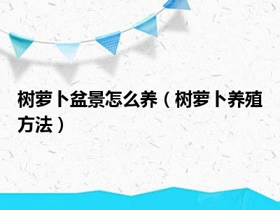 树萝卜盆景怎么养（树萝卜养殖方法）