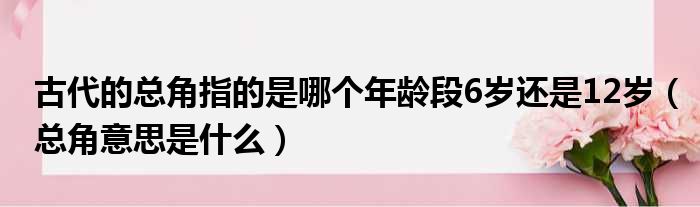 古代的总角指的是哪个年龄段6岁还是12岁（总角意思是什么）