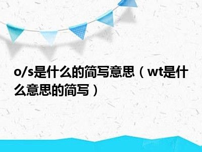 o/s是什么的简写意思（wt是什么意思的简写）