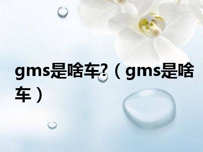 gms是啥车 （gms是啥车）