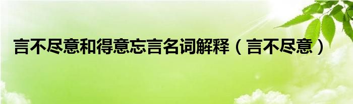  言不尽意和得意忘言名词解释（言不尽意）