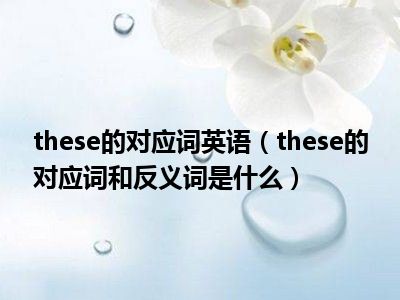 these的对应词英语（these的对应词和反义词是什么）