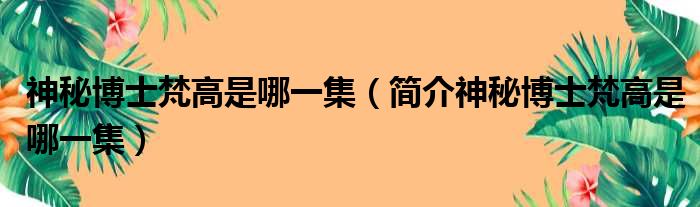 神秘博士梵高是哪一集（简介神秘博士梵高是哪一集）