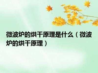 微波炉的烘干原理是什么（微波炉的烘干原理）