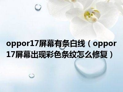 oppor17屏幕有条白线（oppor17屏幕出现彩色条纹怎么修复）