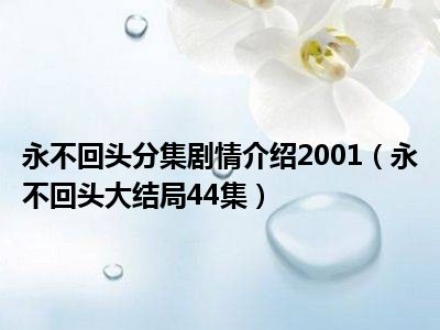 永不回头分集剧情介绍2001（永不回头大结局44集）