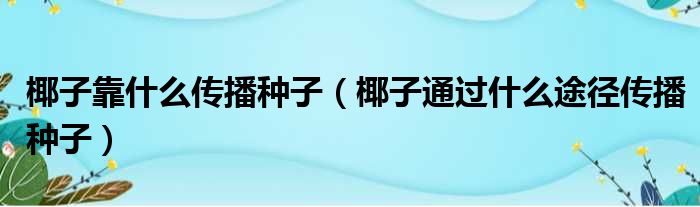 椰子靠什么传播种子（椰子通过什么途径传播种子）