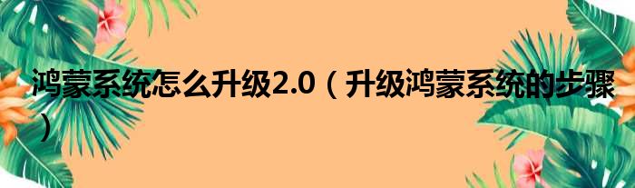 鸿蒙系统怎么升级2.0（升级鸿蒙系统的步骤）