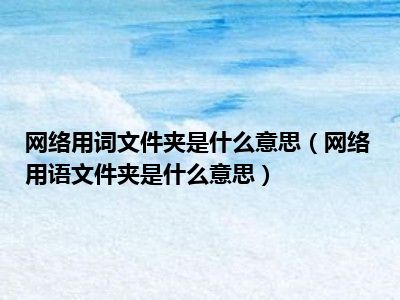 网络用词文件夹是什么意思（网络用语文件夹是什么意思）