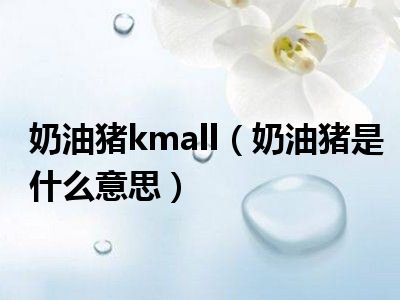 奶油猪kmall（奶油猪是什么意思）