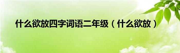  什么欲放四字词语二年级（什么欲放）