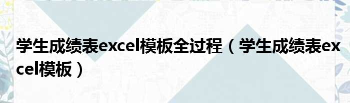 学生成绩表excel模板全过程（学生成绩表excel模板）