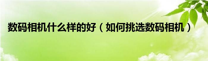  数码相机什么样的好（如何挑选数码相机）