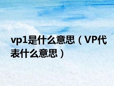 vp1是什么意思（VP代表什么意思）