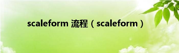  scaleform 流程（scaleform）